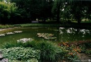 The Zagreb botanical garden