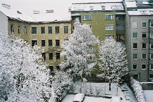 Image:Winter.JPG