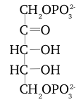 Ribulose-1,5-bisphosphate