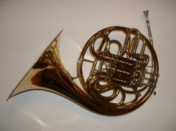 A double horn