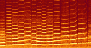 A spectrogram of violin playing with linear frequency on the vertical axis and time on the horizontal axis.  The bright lines show how the spectral components change over time.  The intensity axis is logarithmic.