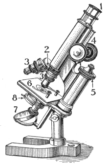 Basic microscope main elements