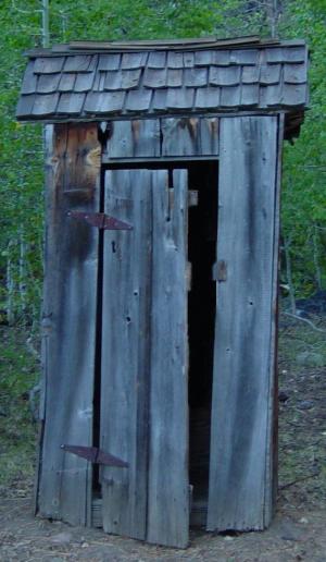 Outhouse in woodland