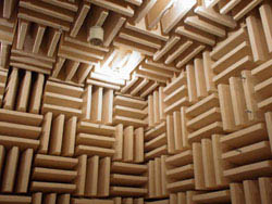 A picture of an anechoic chamber