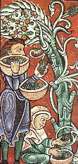 Medieval grape pickers