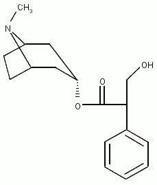 chemical structure of hyoscyamine