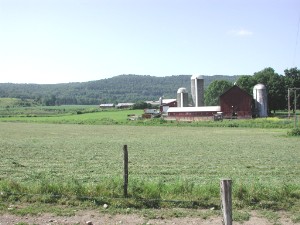 Dairy farm near , July 2001