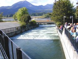 Pool-and-weir fish ladder at  on the  