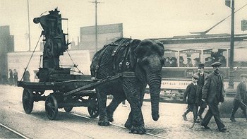 During , elephants pulled heavy equipment.  This one worked in a  yard in .