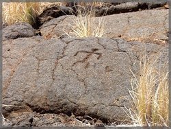 Petroglyphs on the Big Island, Hawaii.Image provided by Classroom Clip Art (http://classroomclipart.com)