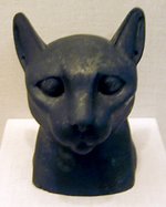 A   used in the burial of a cat  in .