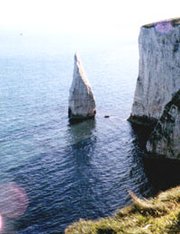 A stack at Old Harry rocks