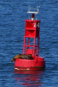 Red buoy in San Diego Harbor. Note red light, number, radar reflecting corners and seal.