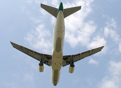 Planform view of the swept wing of an Aer Lingus Airbus A320