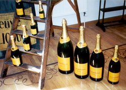 Side-by-side comparison of champagne bottles. (L to R) On ladder: magnum, full, half, quarter. On floor: Balthazar, Salmanazar, Methuselah, Jeroboam