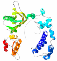 DNA polymerase 3D structure.