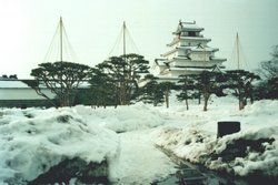 Tsuruga Castle, February 2001