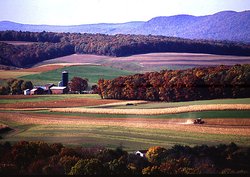 Farming near Klingerstown, Pennsylvania.
