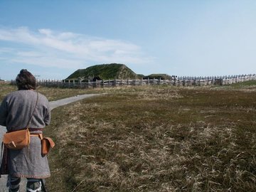 Viking colonisation site at L'Anse-aux-Meadows