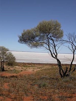 The playa and shore of  , an endorheic desert lake in 