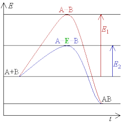 Figure 1: Diagram of a catalytic reaction, showing the energy needed at each stage of the reaction. The substrates (A and B) normally need a large amount of energy to reach the transition state, which then reacts to form the end product (AB). The enzyme creates a microenvironment in which A and B can reach the transition state more easily, reducing the amount of energy needed. Since the lower energy state is easier to reach and therefore occurs more frequently, as a result the reaction is more likely to take place, thus improving the reaction speed.