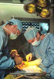 A typical modern surgery operation