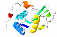 Lysozyme 3D structure.