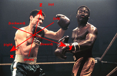 A   coordinate system, presenting the z (up) vector and y (forward) vector, the right is defined to be the positive x vector. In this image, left and right are defined from the attacking boxer's perspective.