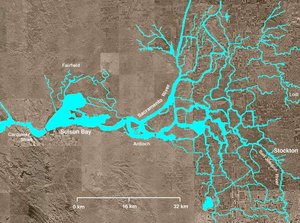 The Sacramento Delta. The Sacramento River enters the diagram from the north, flowing south then west. The San Joaquin River enters from the south, flowing north past Stockton.