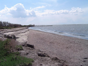 Shoreline of the tang de Vaccars