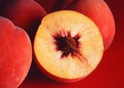 "Autumn Red" peaches