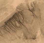 This image taken by Mars Global Surveyor spans a region about 1500 meters across, showing gullies on the walls of Newton Basin in Sirenum Terra.  Similar channels on Earth are formed by flowing water, but on Mars the temperature is normally too cold and the atmosphere too thin to sustain liquid water. Nevertheless, many scientists hypothesize that liquid groundwater can sometimes surface on Mars, erode gullies and channels, and pool at the bottom before freezing and evaporating.