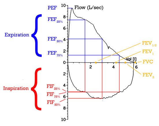 Flow-Volume Loop.  Positive values represent expiration, negative values represent inspiration.  The trace moves clockwise for expiration followed by inspiration.  (Note the FEV1, FEVA1/2 and FEV3 values are arbitrary in this graph and just shown for illustrative purposes, they must be recorded as part of the experiment).