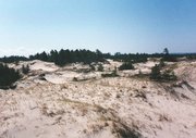 North Manitou Island: southern dunes