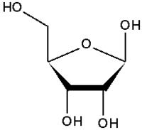 Ribose