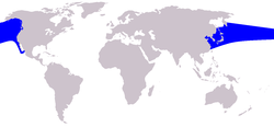 Pacific White-sided Dolphin range