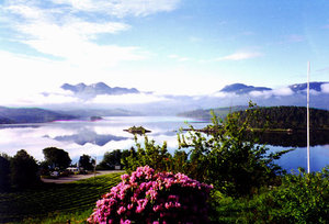 Nature in Halsa; view of the fjord 