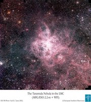 The Tarantula Nebula. Image courtesy of the .