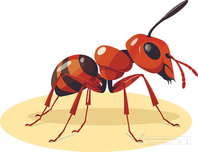 red ant with a long-antennae clipart- Provided by classroomclipart.com 