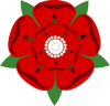 Red Lancashire rose