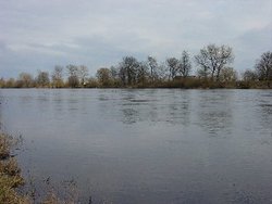 The Warta River near Kostrzyn