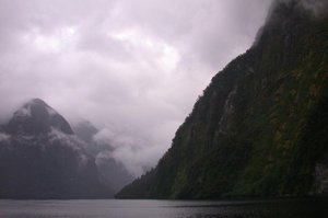 Typical view of the Doubtful Sound.