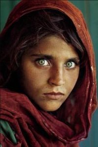 Sharbat Gula in 1984 at about 12 years old; photo by Steve McCurry.