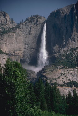Yosemite Falls seen from the valley floor.