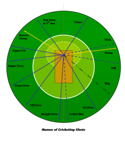 The directions in which a  intends to send the ball when playing various cricketing shots.