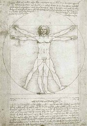 Vitruvian Man: Leonardo da Vinci