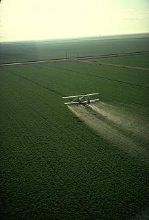 An airplane spreading pesticide.