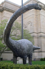 Image:Diplodocus_carnegii_statue.jpg