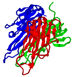 Tumor necrosis factor alpha