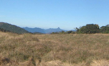 Horton Plains